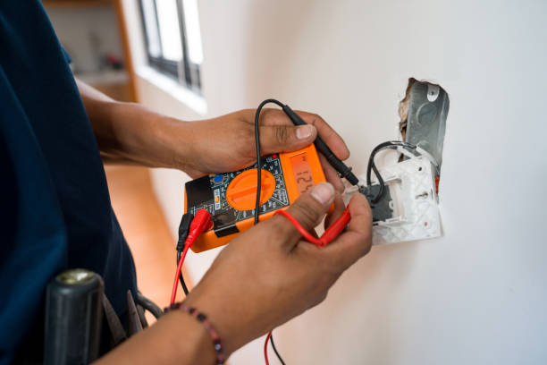 Best Affordable Electrician  in Hudson, MI