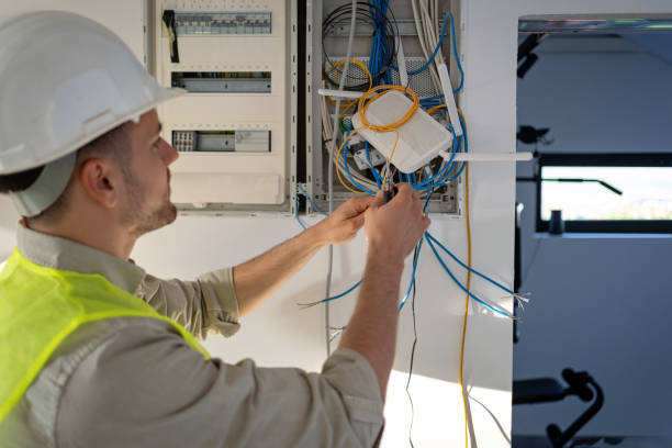 Best Electrical System Inspection  in Hudson, MI